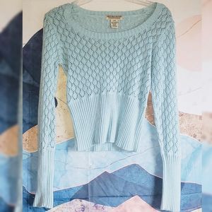 Baby blue Crop Top Sweater